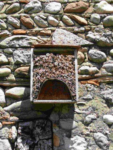 Hotel insectes